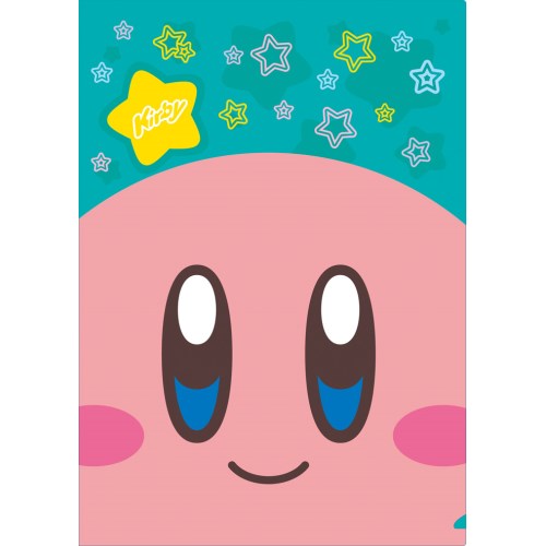 KIRBY clear file / face